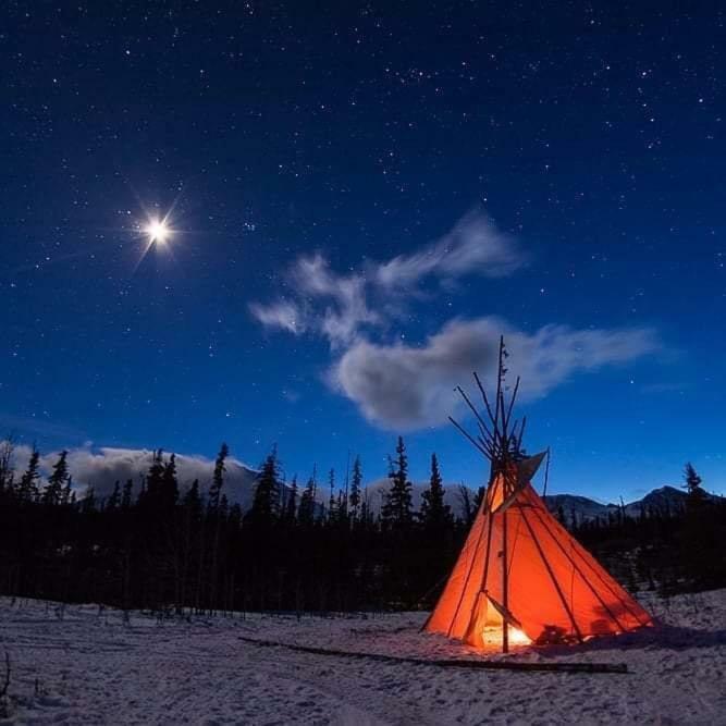 Mount Logan Ecolodge Haines Junction Bagian luar foto